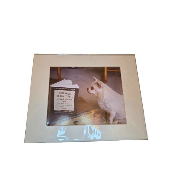 Chihuahua Staring At Book "Dont Sweat The Small Stuff" Photography Print By Eliz - Picture 1 of 8